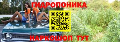 стафф Комсомольск-на-Амуре